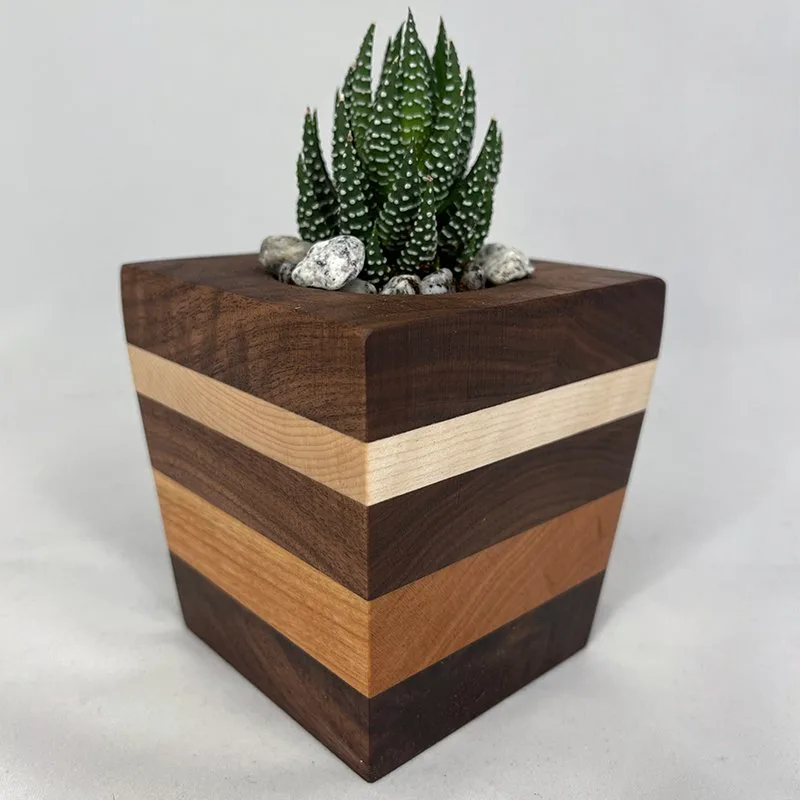Succulent Planter - Spikey Plant with Walnut, Cherry & Maple