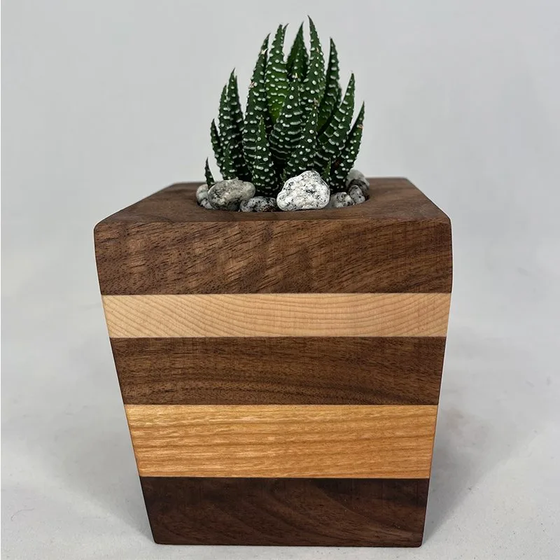 Succulent Planter - Spikey Plant with Walnut, Cherry & Maple - Image 2